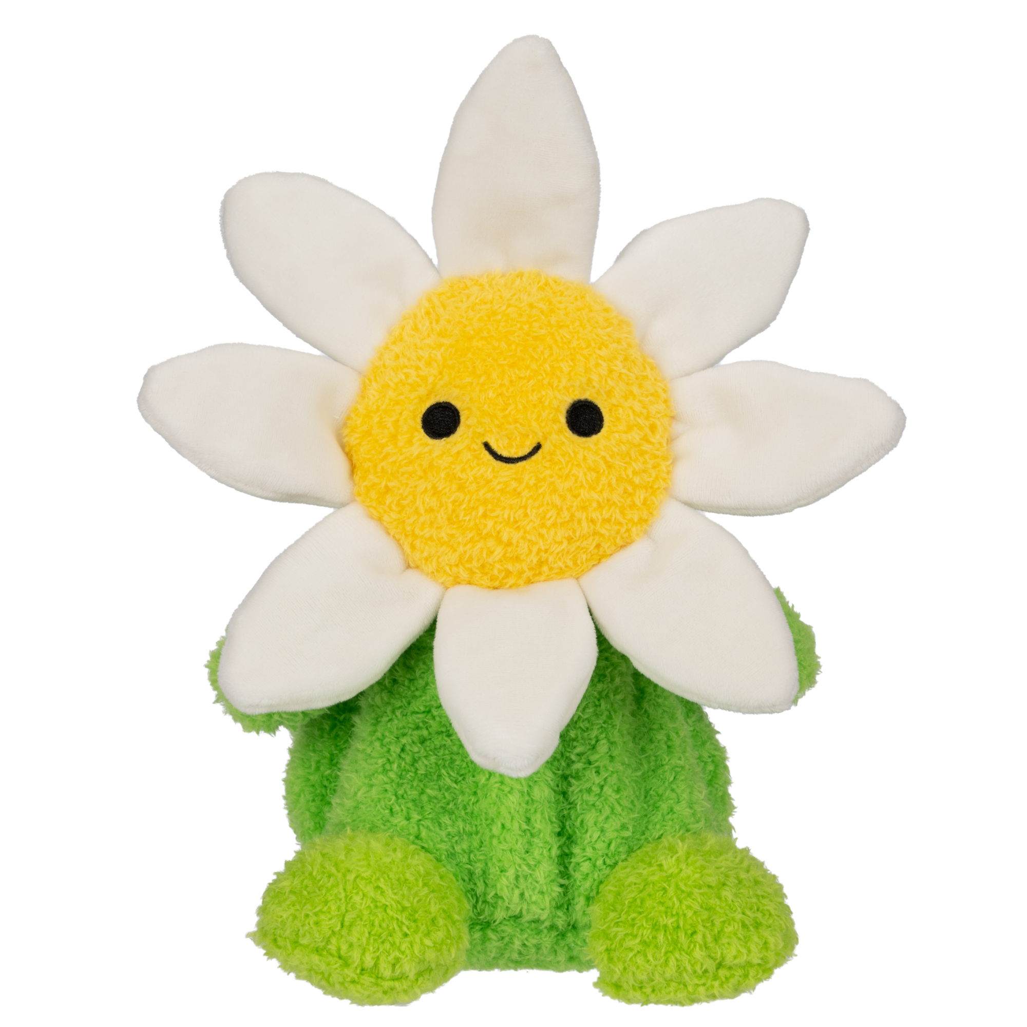 Daisy